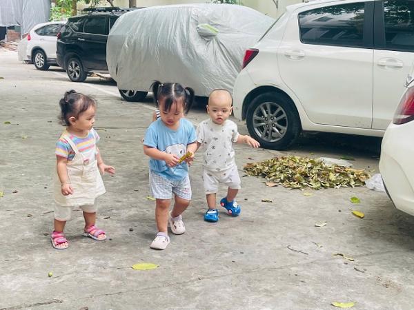 Nhặt một chiếc lá