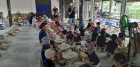 Đến với làng gốm Bát Tràng