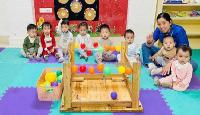 Hái “quả” đầu Xuân