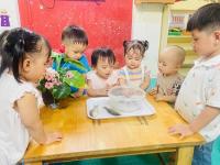 Các loài động vật sống dưới nước