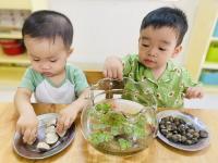 Các loài động vật dưới nước