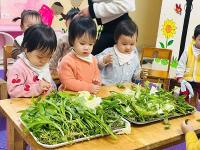 Bé tìm hiểu các loại rau