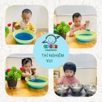 Thí nghiệm sắc màu