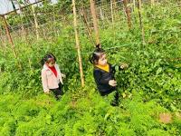 Một ngày làm nông dân