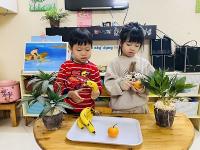 Tìm hiểu quả cam, quả chuối