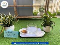 Thí nghiệm chìm nổi