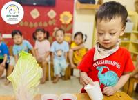 Chiếc lá đổi màu