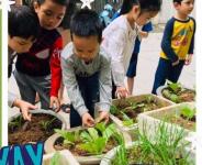 Hoạt động ngoài trời