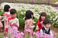 Chụp ảnh Tết tại thung lũng hoa Nhật Chiêu